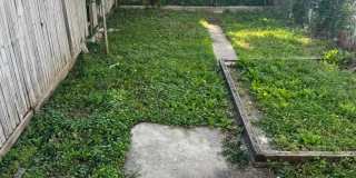 3 bedroom, 1 bath, 2 story half double house Gallery 15