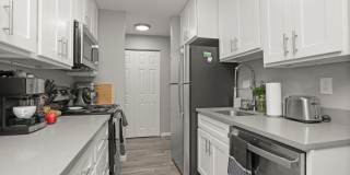 Fully Renovated Modern Apartments Gallery 1