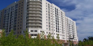 The Cosmopolitan Apartments Gallery 9