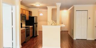 3 Bedroom, 2 Bath with Garage For Rent in New Tampa! Gallery 6