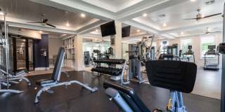 Novus Westshore Gallery 14