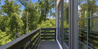 End-Unit Townhome with Private Rooftop Terrace in Myers Park!! Gallery 29