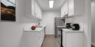 The Hawthorne Gallery 1