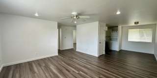 Available in July - 2025 Yew St! Gallery 3
