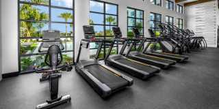 The ALIBI at Lake Lilly Gallery 31