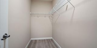 5167 Monterey Pine Lane Gallery 29