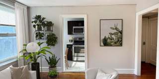 Chester Plaza Gallery 8