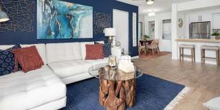 The Seven at West Boca Gallery 4