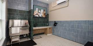 The Alexandria Gallery 24