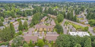 The Fountains Gallery 1