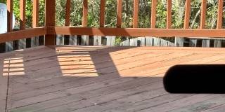 9632 Hadleigh Ct Gallery 36