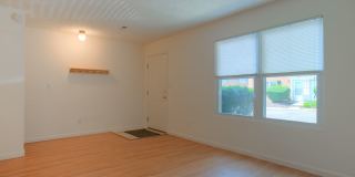 4 bedroom / 2 1/2 Bath. Undergrad Welcome. Off Street Parking, Bus Route Gallery 3