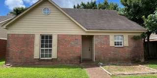 Renovated 4 Bedroom 2 Bath Home for Rent! Gallery 1