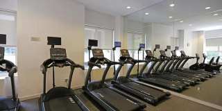 59 John Street Gallery 6