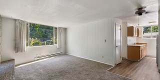 Dolphin Apartments Gallery 8