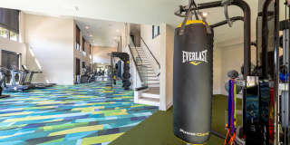 Tropia Wellen Park Gallery 29