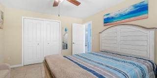 Dolphin Beach Gallery 16
