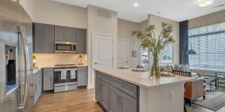 Icon Riverwalk 55+ Active Adult Apartment Homes Icon Riverwalk 55+ Active Adult Apartment Homes Gallery 3