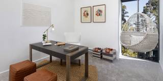 South Shore Gallery 15