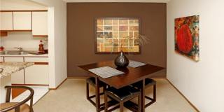 Lionshead Apartments Gallery 8