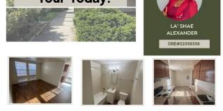 3263 Belmont Gallery 1