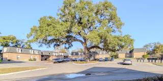 Grand Oaks Apartment Gallery 1