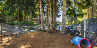 Maplewood Park Gallery 29