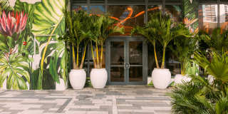 Flow Miami Gallery 13