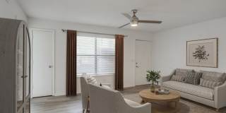 ReNew Brandon Gallery 2