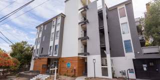 Vue at Piedmont Gallery 24