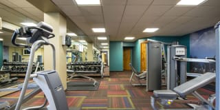 Medicine Lake Apartments Gallery 9