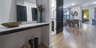 Hazel Southpark Gallery 13