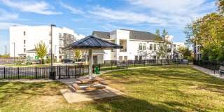 The Ivy Apartment Homes Gallery 19