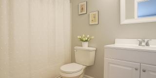 Creekside Canopy Gallery 6