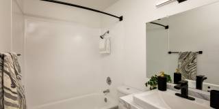 ReNew Dash Point Gallery 19