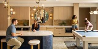 Tortoise One Gallery 49