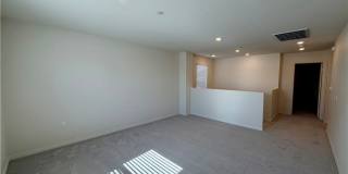 9643 Babaco Gallery 10