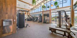 Harwood on Cave Creek Gallery 20