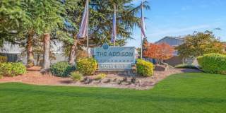 The Addison Gallery 25