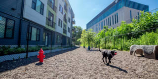 Residences at CityWay Gallery 38