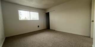 Mt. Pleasant Gallery 11