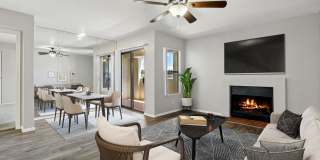 Twin Palms Gallery 40