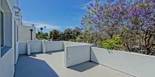 MODERN & BRIGHT. TOP-FLOOR, 4BR3BA HOUSE-LIKE APARTMENT W/ OPEN FLOOR PLAN, 3 DECKS FOR INDOOR/OUTDOOR LIVING & 2-CAR GARAGE JUST BLOCKS TO ABBOT KINNEY, PARK & MINS TO CANALS & BEACH! Gallery 3