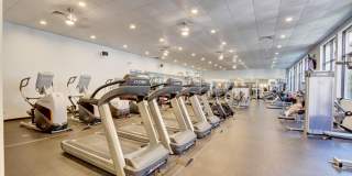 11073 Harbour Springs Circle Gallery 53
