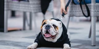 Waterside Place by Windsor Gallery 36