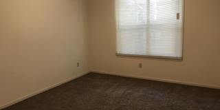 Essex Square Apartments Gallery 39