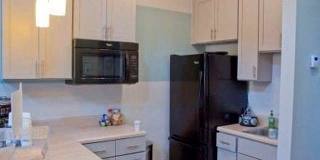 Emory Woods Gallery 10