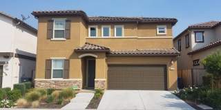 Beautiful, Large 4 BR/2.5 Bath Home, Lots of light! Great Neighborhood! Gallery 1