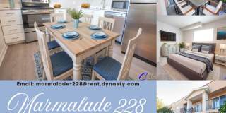 Marmalade 228 Marmalade 228 Gallery 1
