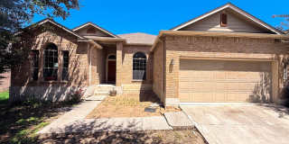 1938 Spotted Owl Gallery 3